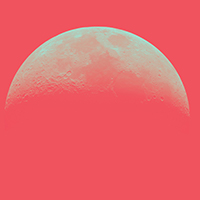 A Midsummer Night's Dream