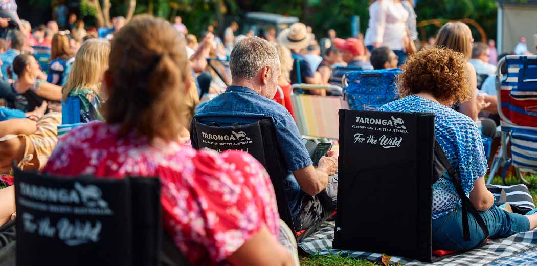 Chillazy Chair - Silver