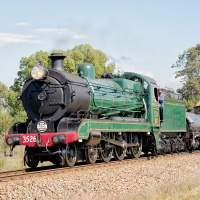 Paterson Lunch Train - Return