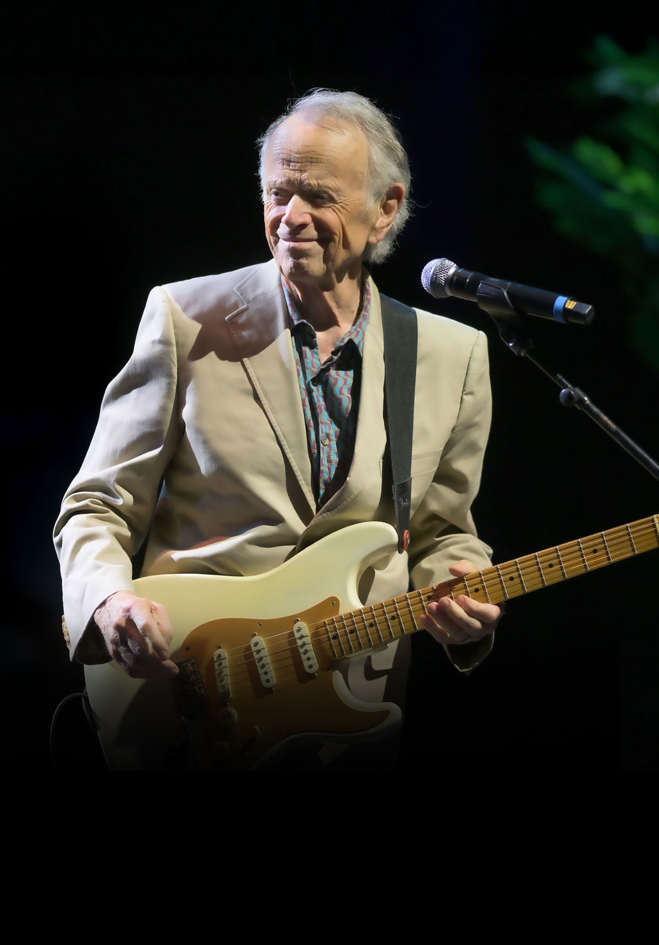 Al Jardine and The Pet Sounds Band