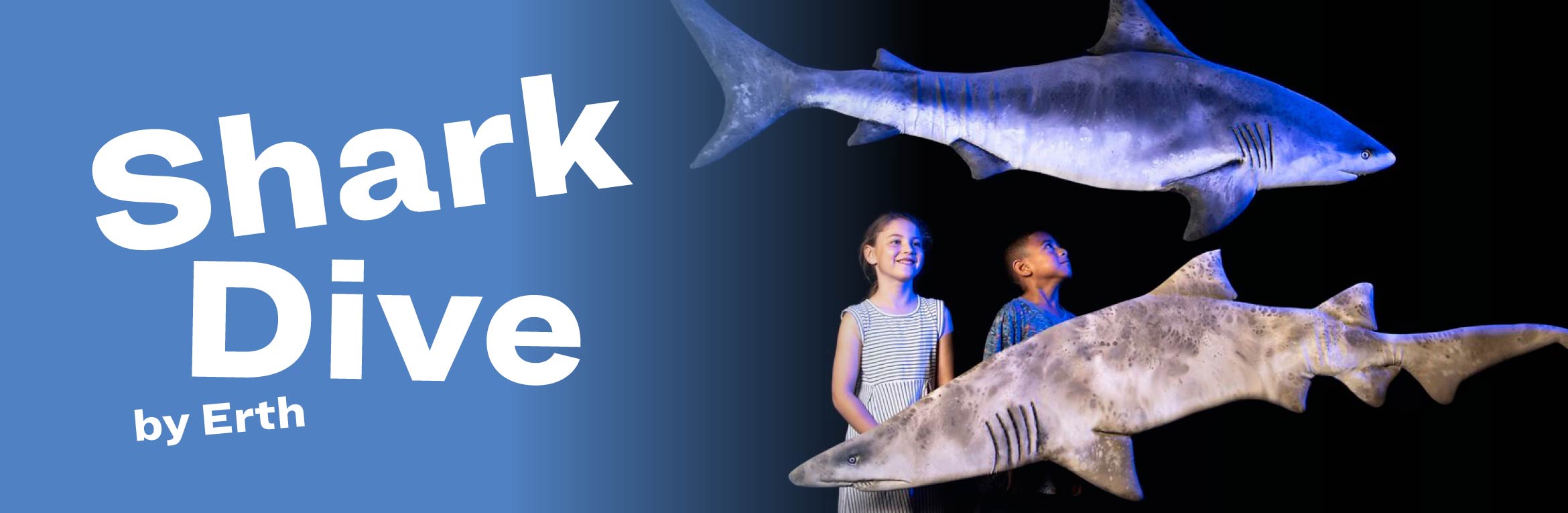 Erth's Shark Dive