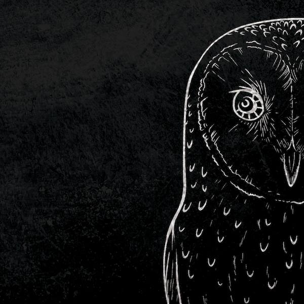 Bird's Robe 15th Birthday Tour