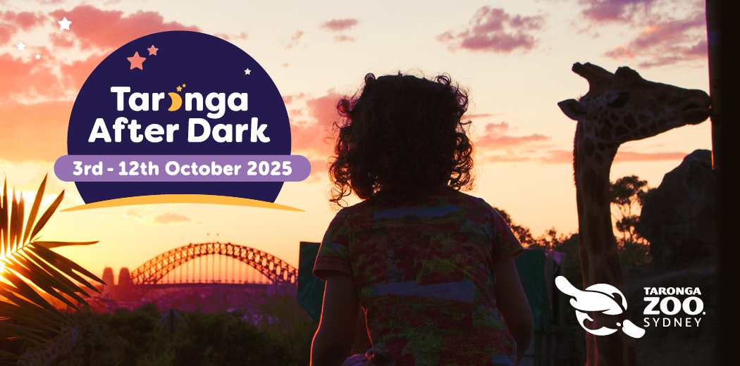 Taronga After Dark