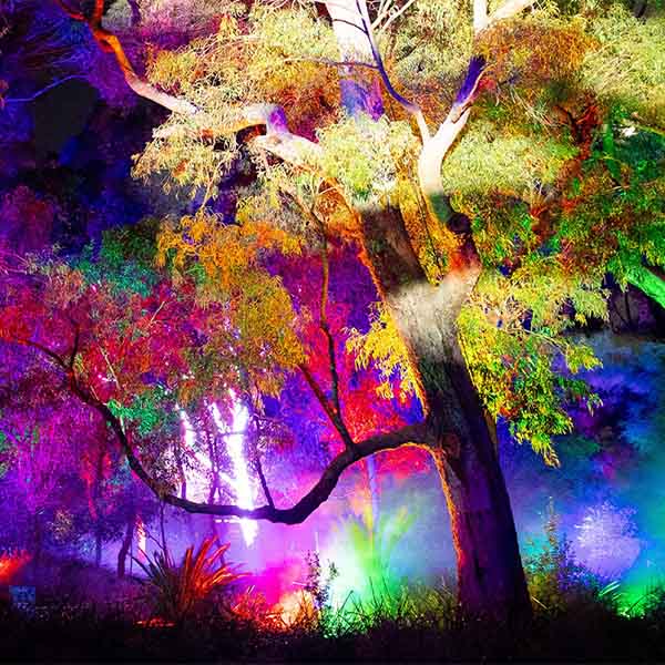 Lightscape Perth Flexi 