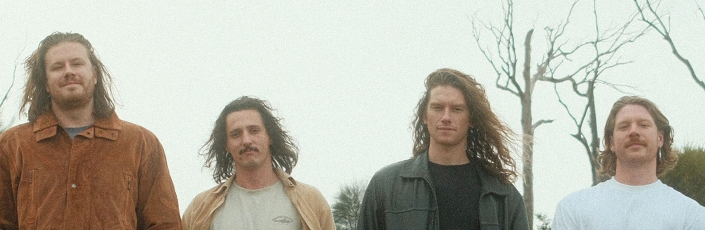 The Vanns