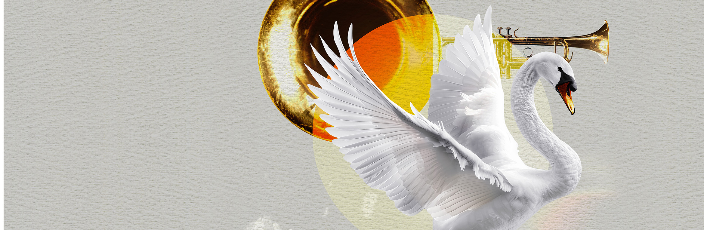 The Trumpet of the Swan