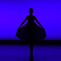 An Evening of Classical Ballet