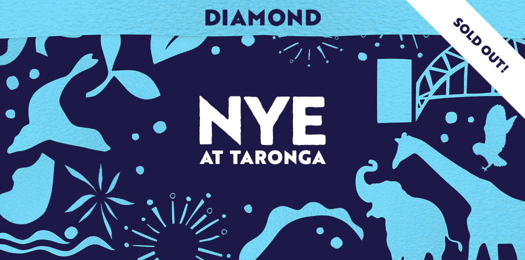 Diamond - In Zoo Grounds