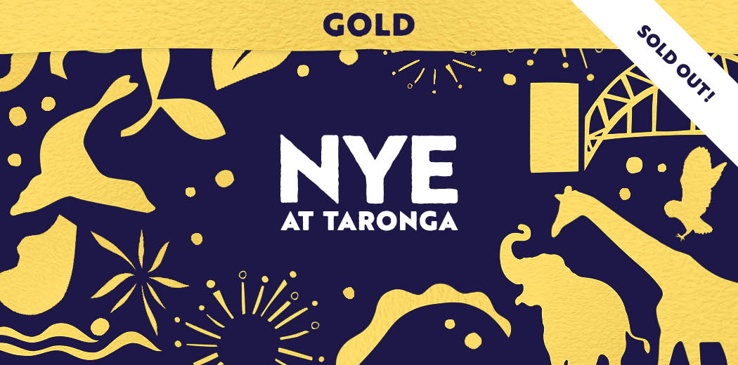 Gold - In Zoo Grounds