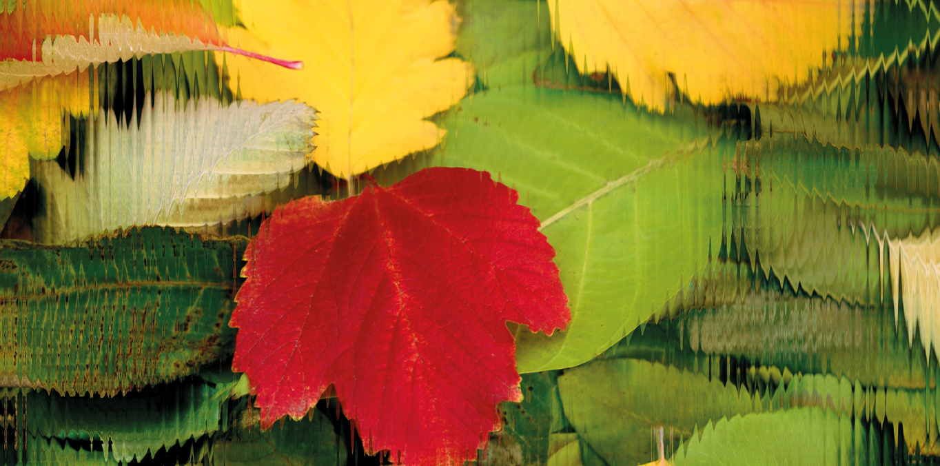 The Sydney Symphony performs Forces of Nature