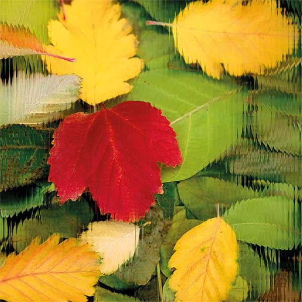 The Sydney Symphony performs Forces of Nature