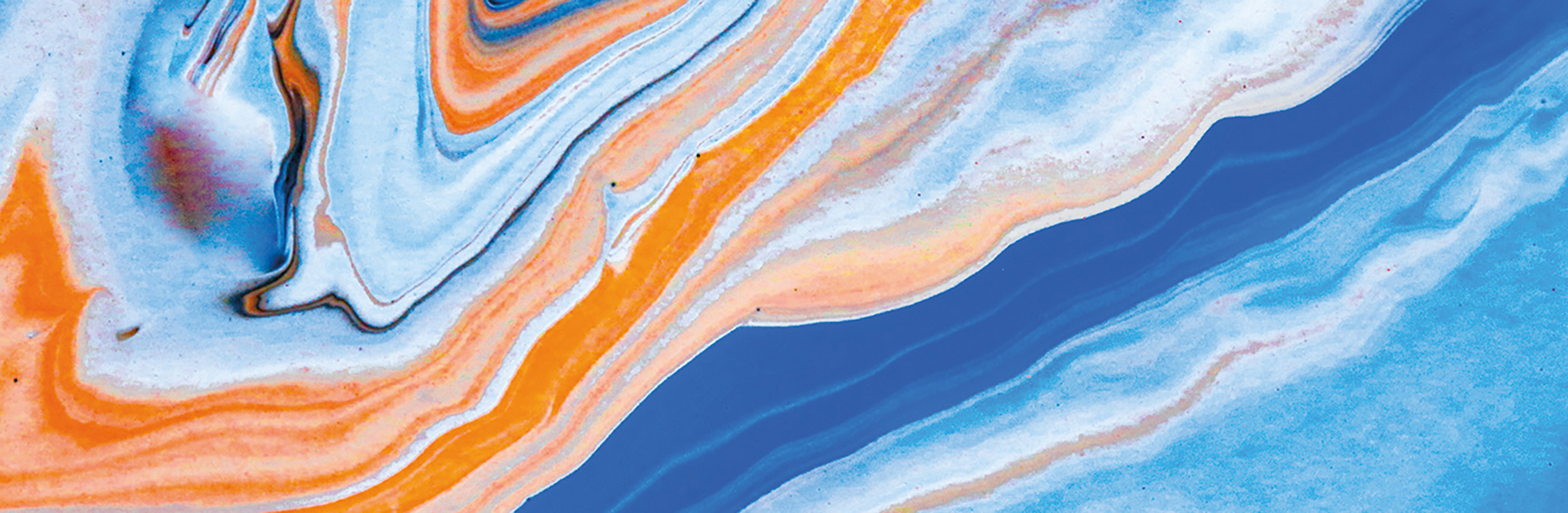 Orchestral Colour and Story (Schools) 