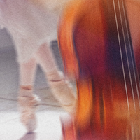 A Night at the Ballet