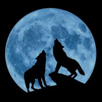 Creedence Clearwater Collective