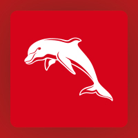 Dolphins vs Penrith Panthers: General Admission