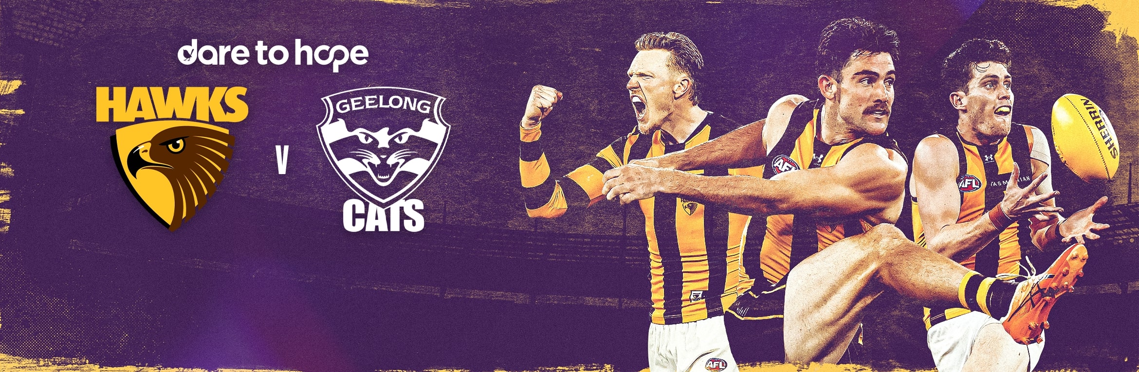 Hawthorn v Geelong Cats