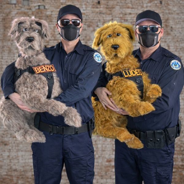 The Underdogs Show - Old Dogs, New Tricks live at Brisbane Powerhouse in New Farm on April 26, 2026 - Concert poster