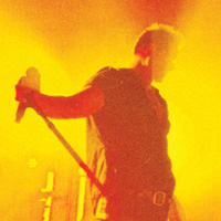 Twilight in the Backyard