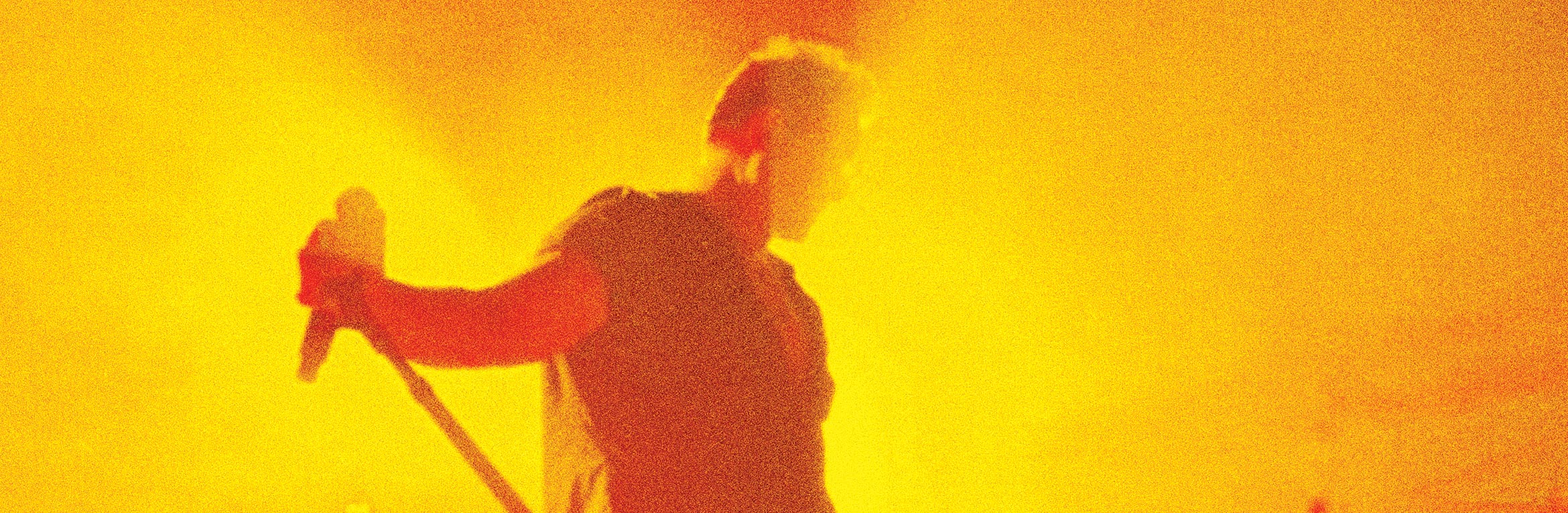 Twilight in the Backyard