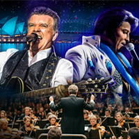 From A Diamond To A King