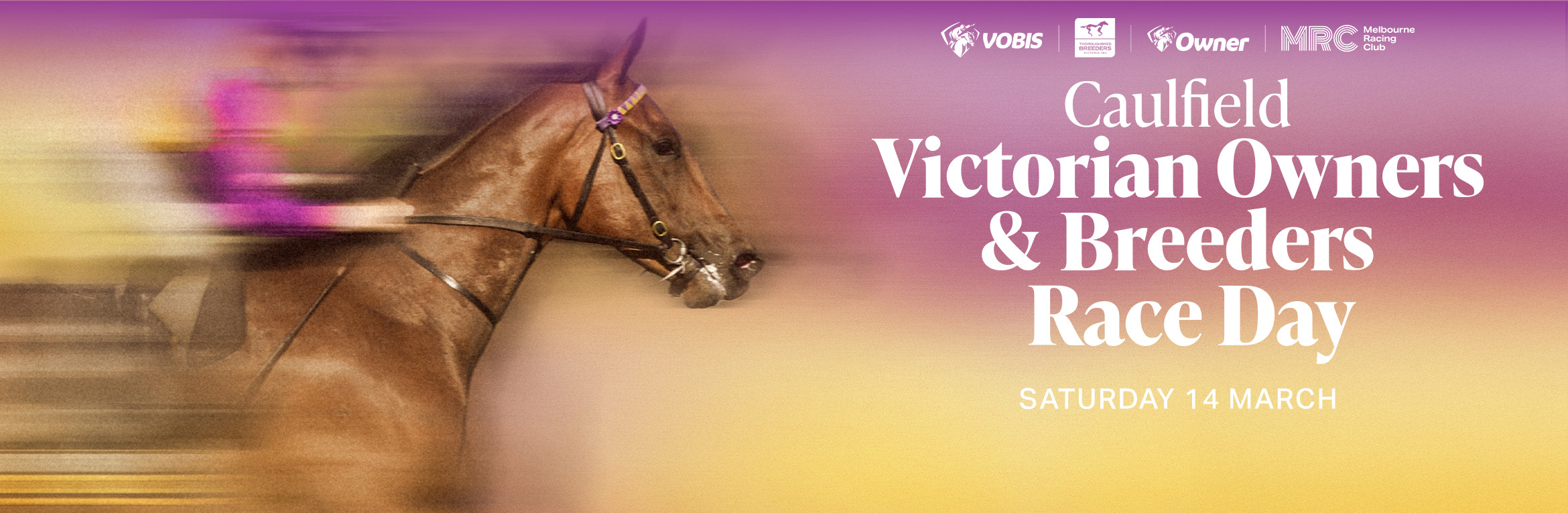 Caulfield Victorian Owners & Breeders Race Day
