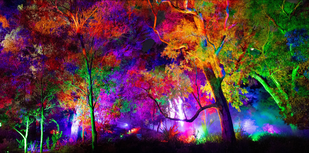 Lightscape Perth General Admission