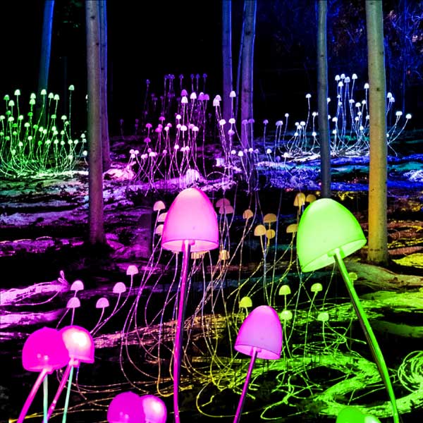 Lightscape Perth General Admission