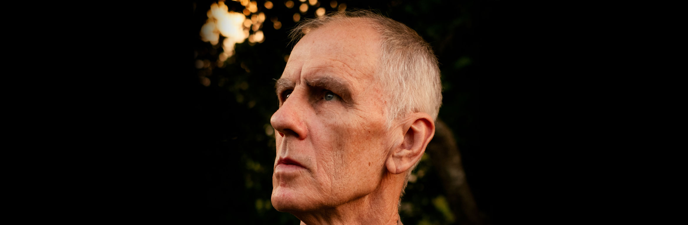 Robert Forster
