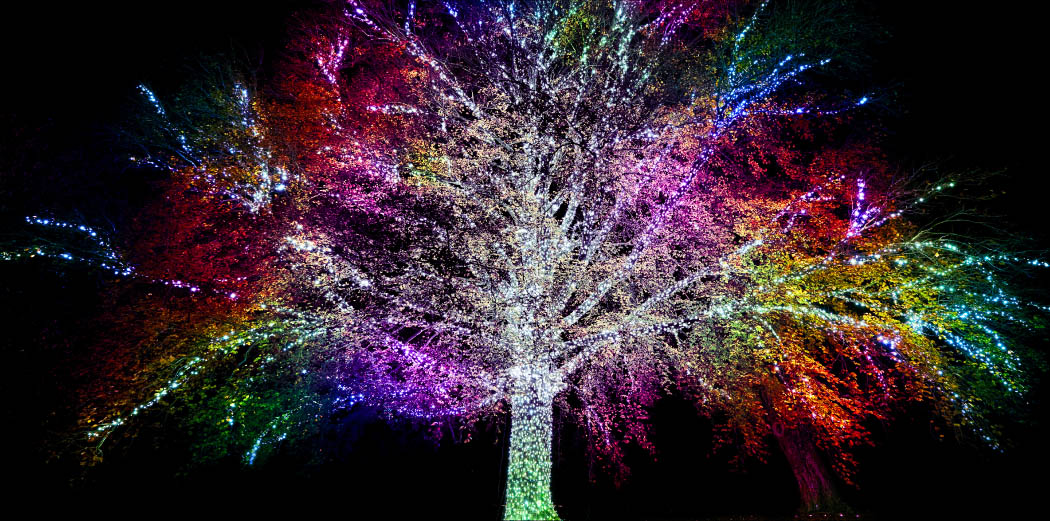 Lightscape Melbourne General Admission