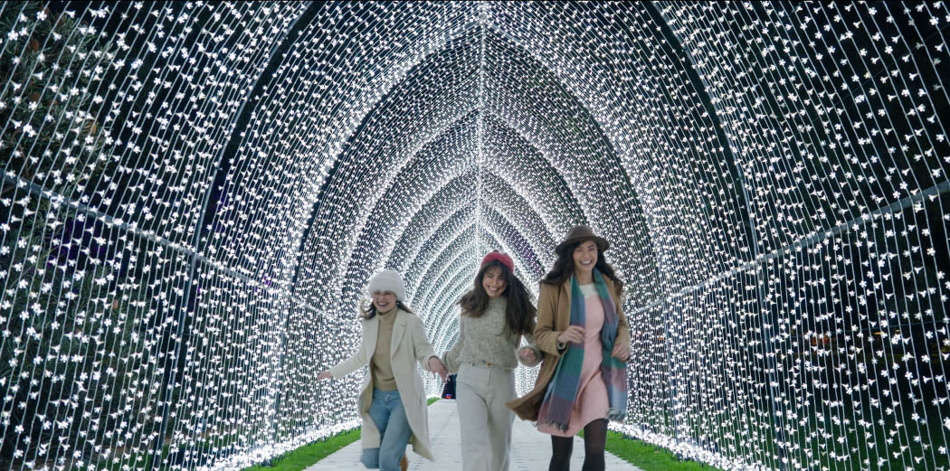 Lightscape Melbourne Over 18s