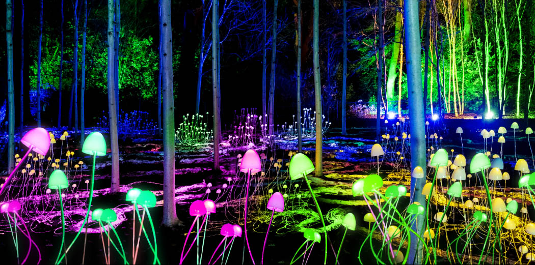 Lightscape Melbourne Flexi 