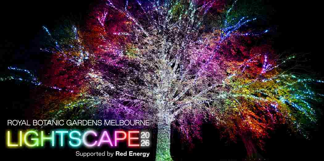 Lightscape Melbourne Group