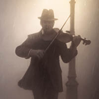 Monsieur Camembert - Cohen Noir 