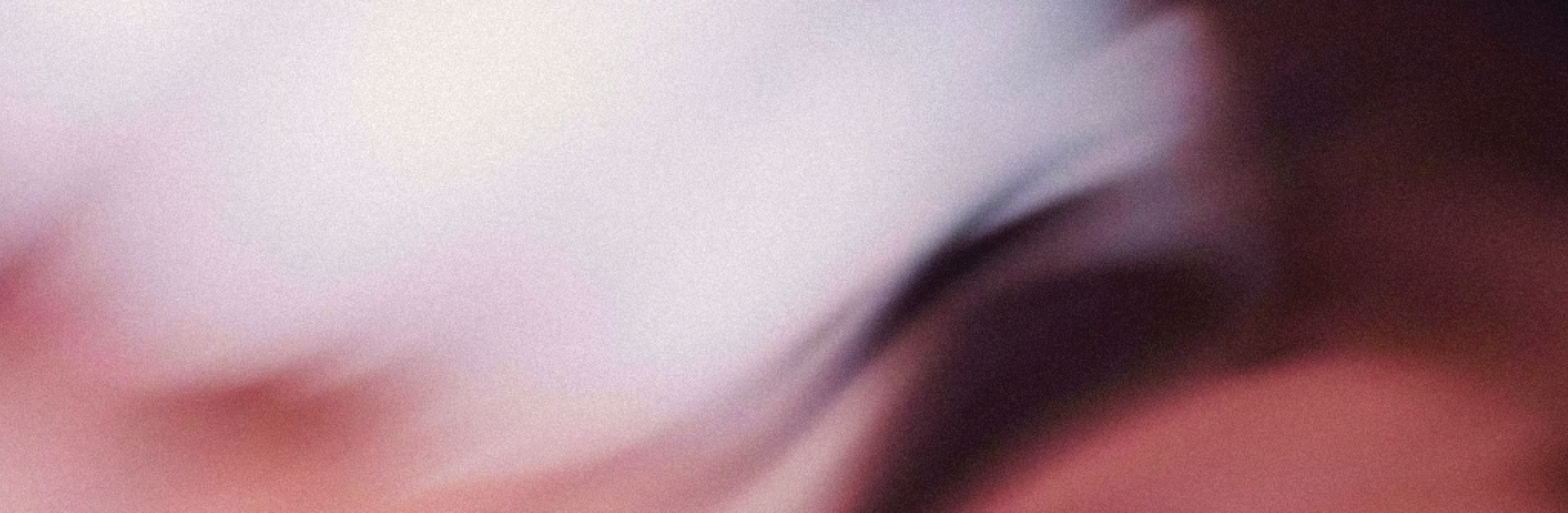 A Night at the Ballet