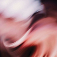 A Night at the Ballet