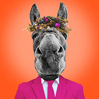 A Midsummer Night's Dream