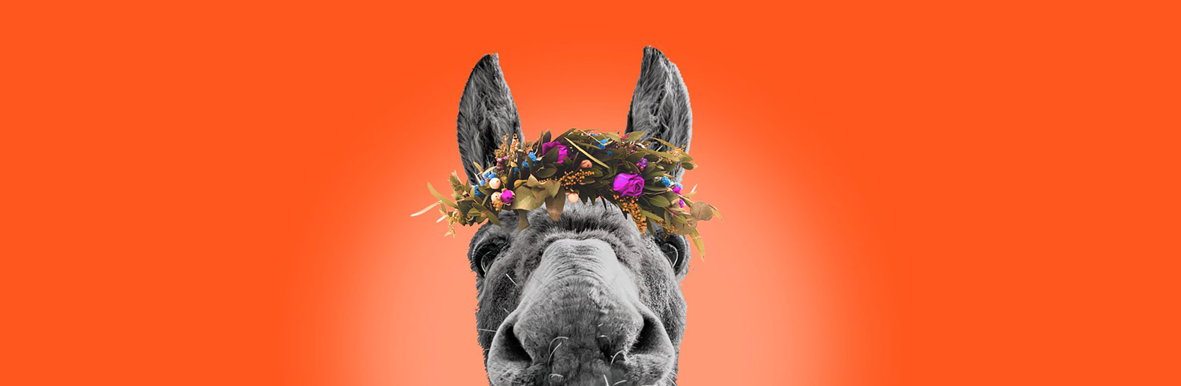 A Midsummer Night's Dream