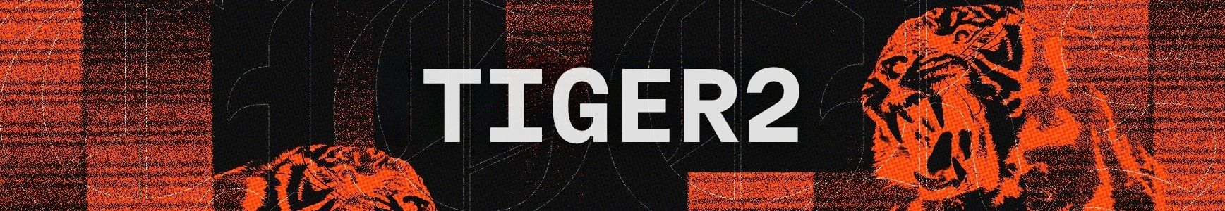 Tiger2 Panthers & Warriors