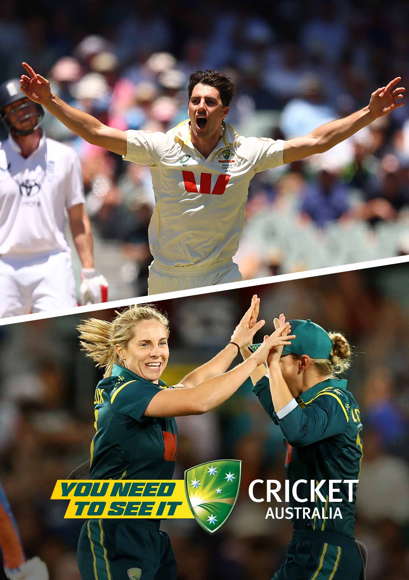 Summer of Cricket