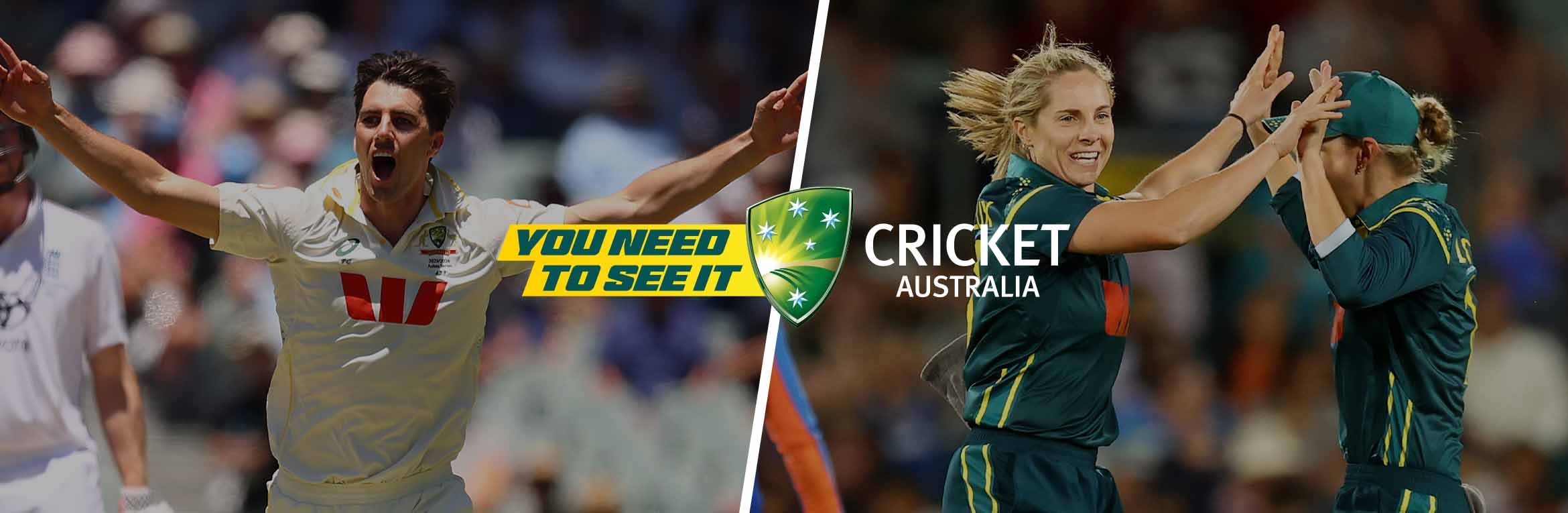 Summer of Cricket