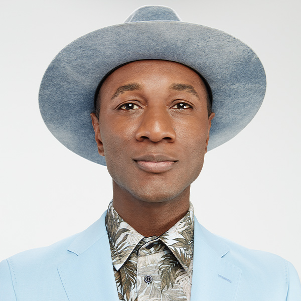 Aloe Blacc - Wake Me Up Tour live at Riverside Theatre - Concert poster