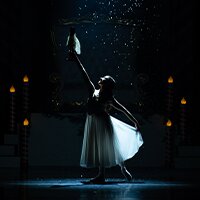 The Nutcracker