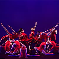 Dance+ 2026 live at NIDA Parade Theatre - Concert poster