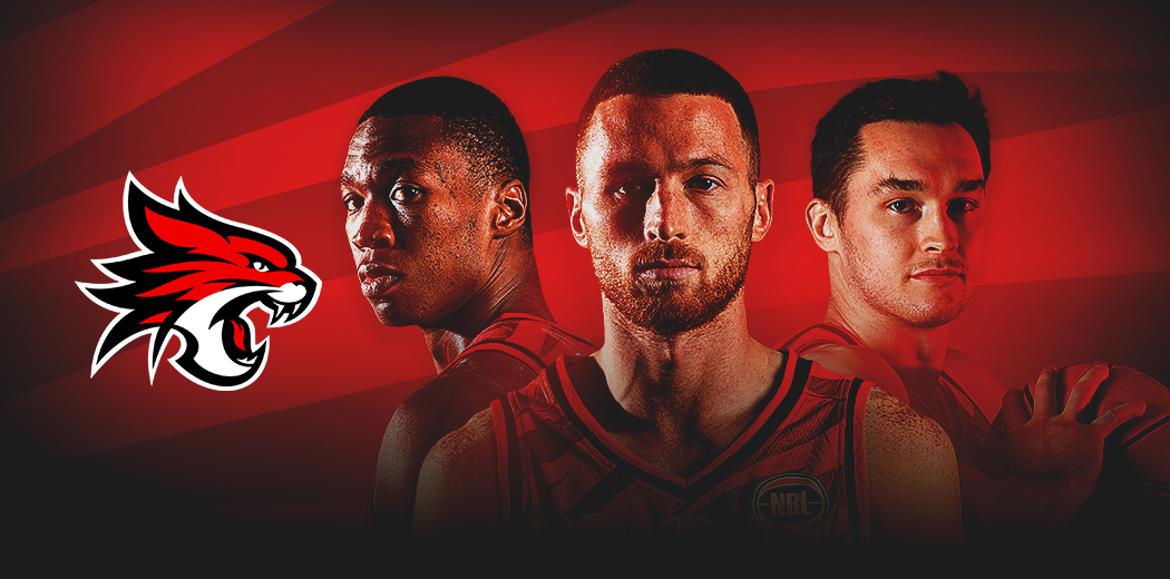 Perth Wildcats 2026 - 2027 Season