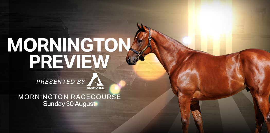 Mornington Preview presented by Aushorse
