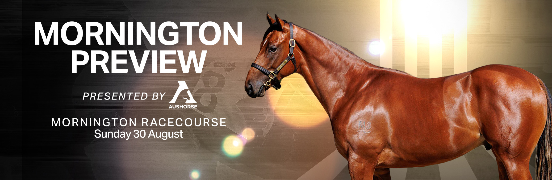 Mornington Preview presented by Aushorse