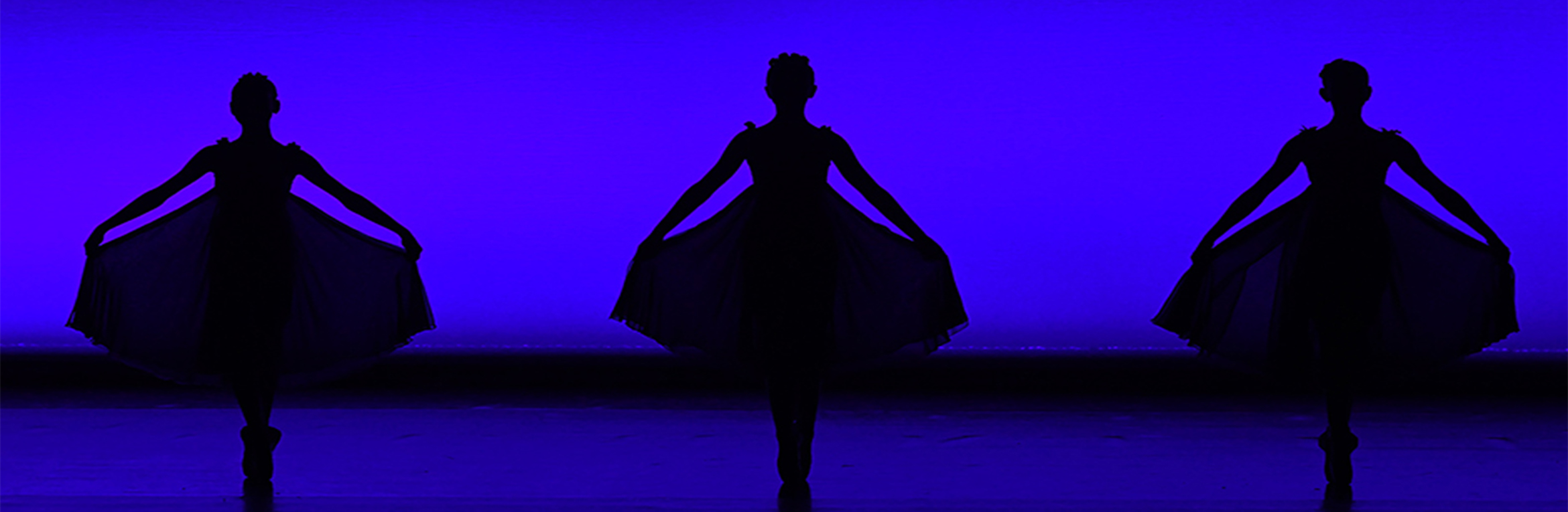 An Evening of Classical Ballet