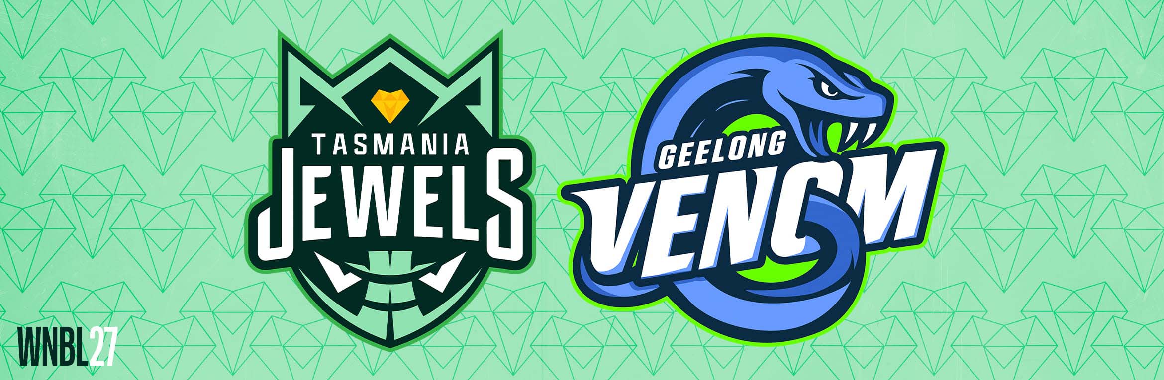 Tasmania Jewels v Geelong Venom