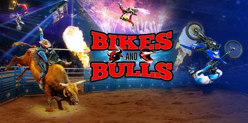 Bikes and Bulls