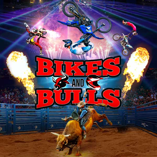 Bikes and Bulls